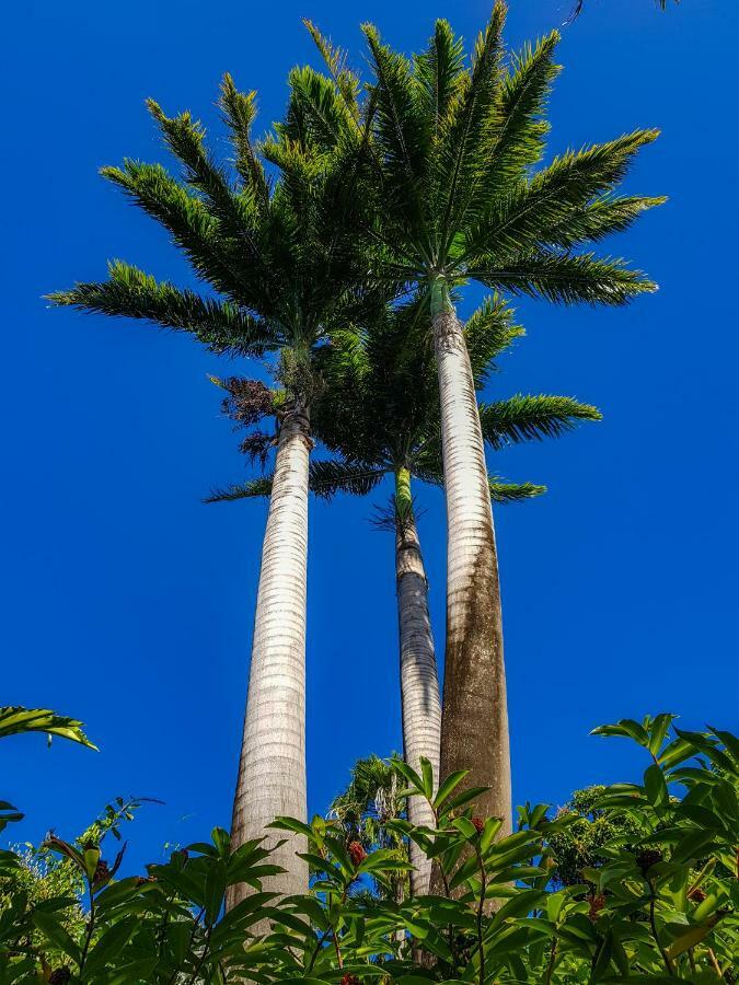 Blue Paradise Le Gosier  Exterior foto