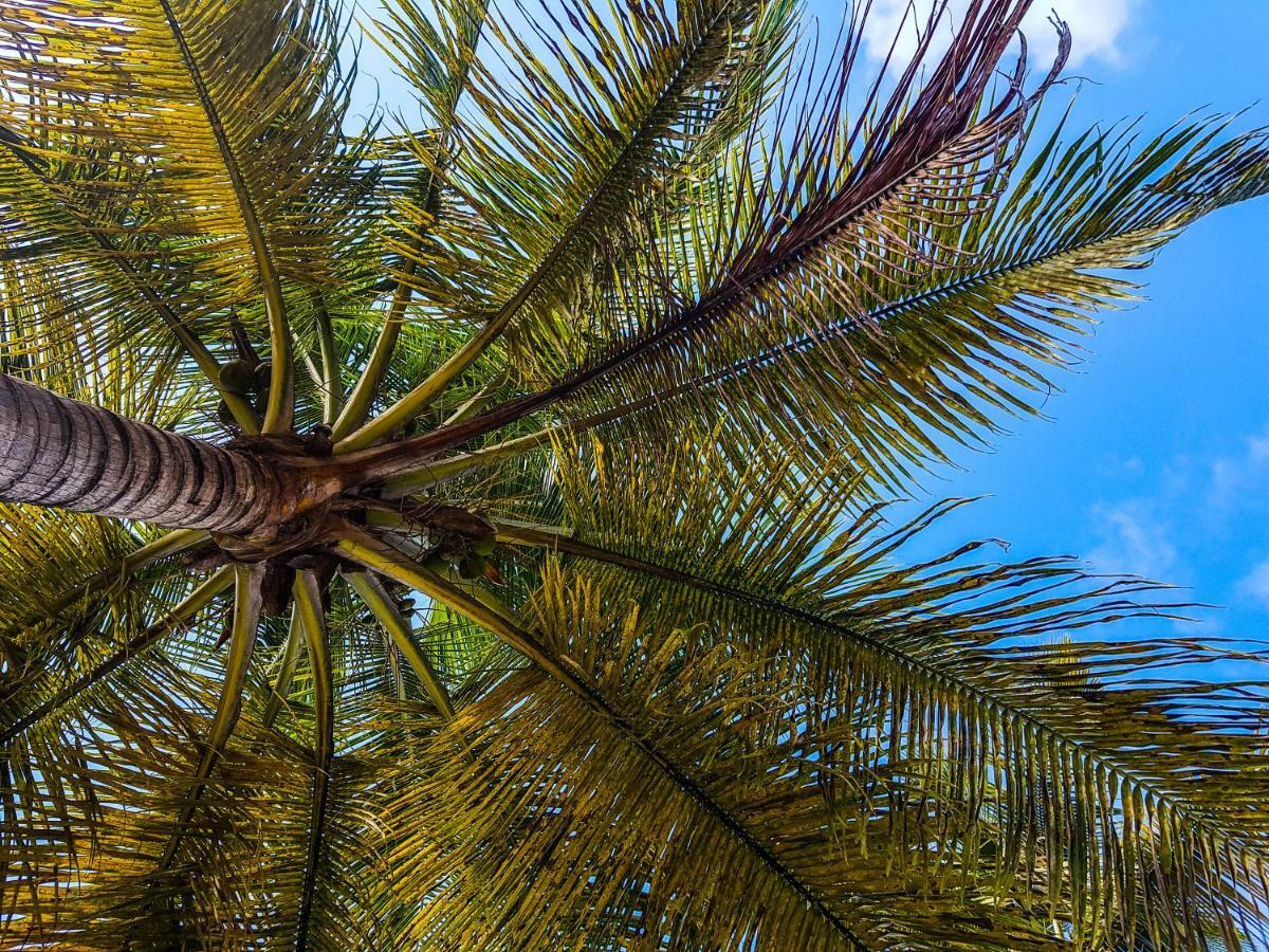 Blue Paradise Le Gosier  Exterior foto